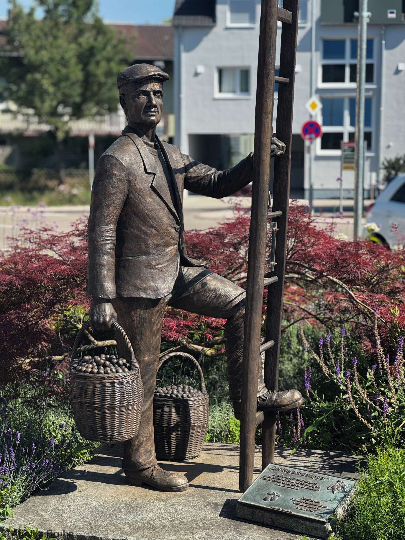 Statur eines Kirschenpflückers